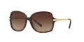 Michael Kors MK2024 Dk Tortoise-Gold (310613) Sunglasses - Color Image