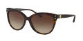 Michael Kors MK2045 Dark Tortoise Acetate / Brown Gradient Lens (300613) Sunglasses - Color Image