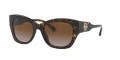 Michael Kors MK2119 Dark Tortoise / Brown Gradient Lens (300613) Sunglasses - Color Image