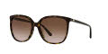 Michael Kors MK2137U Dark Tortoise / Brown Gradient Lens (300613) Sunglasses - Color Image