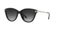 Michael Kors MK2139U Black / Grey Gradient Black Lens (33328G) Sunglasses - Color Image