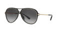 Michael Kors MK2176U - Breckenridge Black / Dark Grey Gradient Lens (30058G) Sunglasses - Color Image