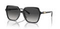 Michael Kors MK2196U Black (30058G) Sunglasses - Color Image