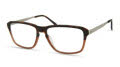 Modo 4555 Tortoise-To-Brown Eyeglasses - Color Image