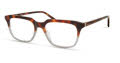 Modo 6547 Tortoise-To-Grey Eyeglasses - Color Image