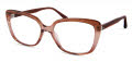 Modo 6561 Brown Gradient Eyeglasses - Color Image