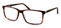 Modo 6562 Brown Tortoise Eyeglasses - Color Image