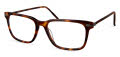 Modo Grant Brown Tortoise w/ Covered Temples Eyeglasses - Color Image