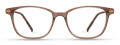 Modo Lorimer Brown w/ Covered Temples Eyeglasses - Color Image