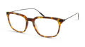 Modo Seigel Brown Tortoise Eyeglasses - Color Image