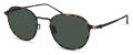 Modo 697 Brown Tortoise Sunglasses - Color Image