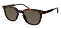 Modo 800 Tortoise Sunglasses - Color Image