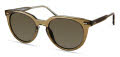 Modo 802 Olive Sunglasses - Color Image