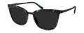 Modo 450 Aqua Tortoise Sunglasses - Color Image