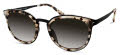 Modo 453 Milky Tortoise Sunglasses - Color Image