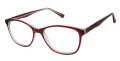 New Globe L4098 Burgundy Eyeglasses - Color Image