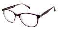 New Globe L4098 Purple Eyeglasses - Color Image