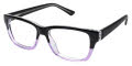 New Globe L4054 Black/Purple Eyeglasses - Color Image