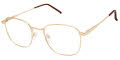 New Globe L5180 Gold Eyeglasses - Color Image