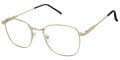 New Globe L5180 Silver Eyeglasses - Color Image