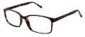 New Globe M424 Tortoise Eyeglasses - Color Image