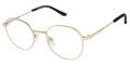 New Globe L5183 Gold Eyeglasses - Color Image