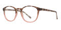 New Globe L4076 Tort Pink Eyeglasses - Color Image