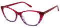 Nicole Miller CATALINA Resort Magenta Fade (C03) Eyeglasses - Color Image