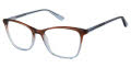 Nicole Miller Dominica Brown/ Blue (C01) Eyeglasses - Color Image