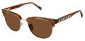 Nicole Miller St. Pierre Resort Multi Blue / Brown (C03) Sunglasses - Color Image
