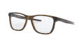 Oakley Centerboard Satin Brown Tortoise (OX8163-02) Eyeglasses - Color Image