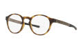 Oakley Saddle Satin Brown Tortoise (OX8165-02) Eyeglasses - Color Image