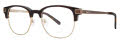 Original Penguin The Princeton Tortoise (TO) Eyeglasses - Color Image