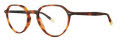 Original Penguin The Louis Tortoise Matte Eyeglasses - Color Image