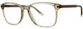 Original Penguin The Brooks Safari Eyeglasses - Color Image