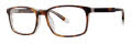 Original Penguin Jr. The Layne Jr. Tortoise  Eyeglasses - Color Image