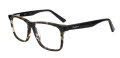 Pepe Jeans PJ 4054 KIDS Brown (C1) Eyeglasses - Color Image