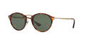 Persol PO3166S Havana / Green (24/31) Sunglasses - Color Image