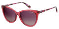 Polaroid Pld 6104/S/X Cherry Havana / Burgundy Gradient (0VA4/JR) Sunglasses - Color Image