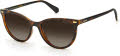 Polaroid Pld 4107/S Dark Havana / Brown Gradient Polarized (0086/LA) Sunglasses - Color Image