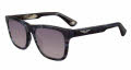 Police SPLE37 Azure Havana Striped Grey (09Y1) Sunglasses - Color Image