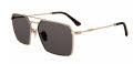 Police SPLL07 Silver (300) Sunglasses - Color Image