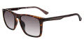 Police SPLF17 Tortoise (0978) Sunglasses - Color Image