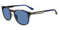 Police SPLF18 Blue Havana (0M61) Sunglasses - Color Image