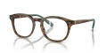 Polo PH2267 Shiny Brown Tortoise (5017) Eyeglasses - Color Image
