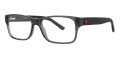 Polo PH2117 Crystal Grey (5407) Eyeglasses - Color Image