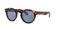 Polo PH4165 Shiny Jerry Havana / Mirror Blue Lens (50171U) Sunglasses - Color Image