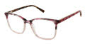RACHEL by Rachel Roy Candid Berry Eyeglasses - Color Image