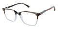 RACHEL by Rachel Roy Candid Sapphire Eyeglasses - Color Image