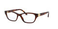 Ralph Lauren RL6203 Striped Havana (5007) Eyeglasses - Color Image